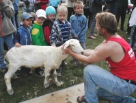 po střiži ovcí v Náměšti